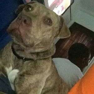 Meet your Posher, Paris